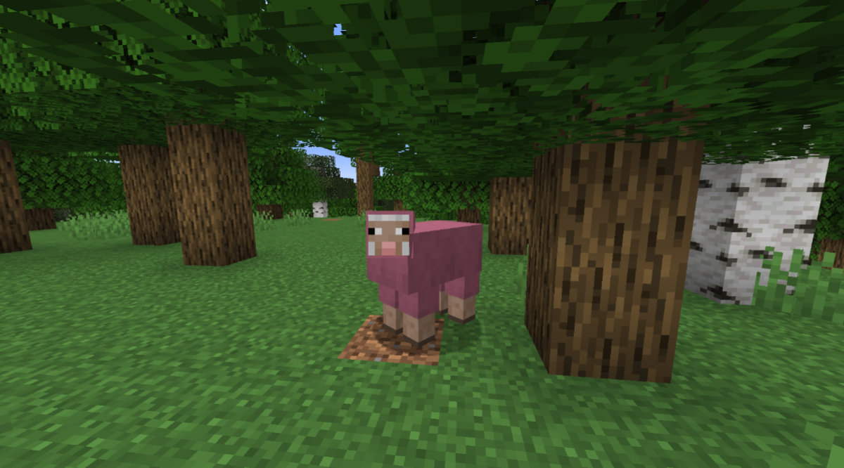 ピンクの羊発見！