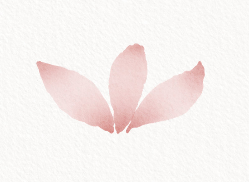 蓮の花を描く過程　デジタルイラスト